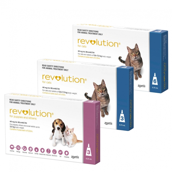 Revolution for Cats 3 Pack Vets North Helensville & Kumeu