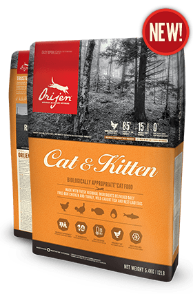 Orijen cat & kitten shop