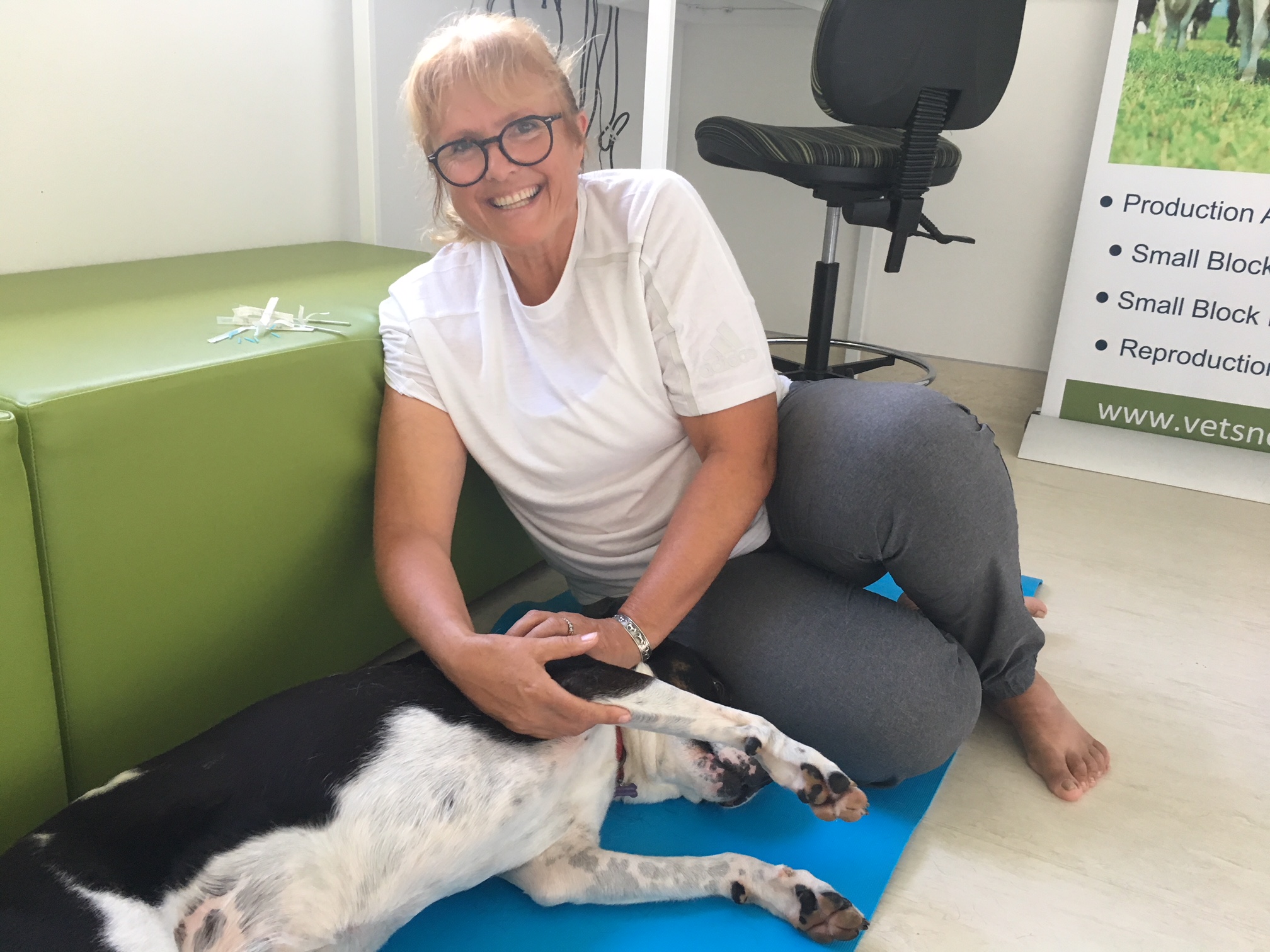 Katherine Long - Physio - Vets North - | Exceptional Veterinary Care