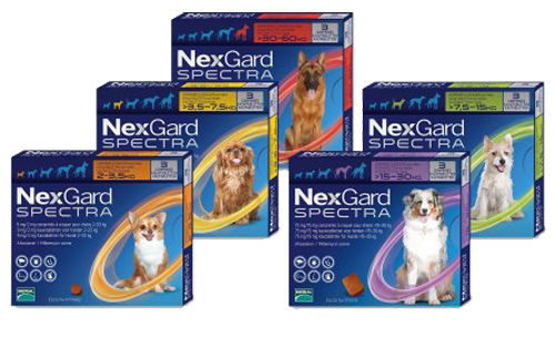 NexGard Spectra - Single Pack - Vets North 